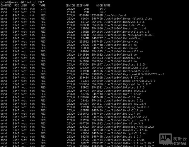 linux lsof命令详解