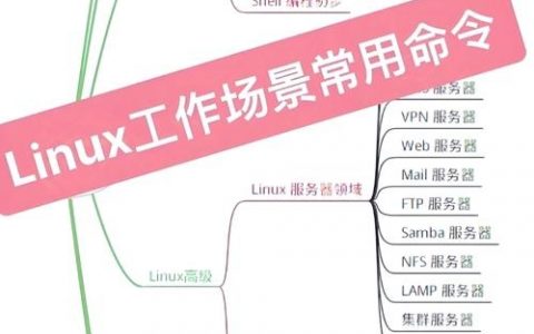 Linux复合命令如何高效组合与执行？