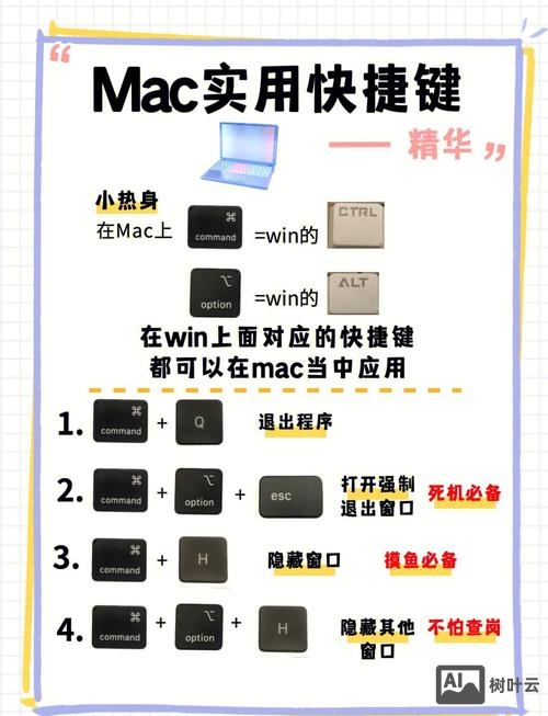 mac say 命令