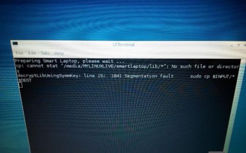 sudo cp命令权限与路径如何正确操作？