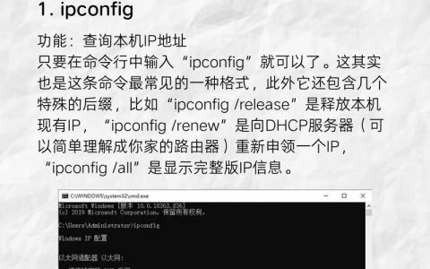 unix gzip命令如何高效压缩文件？