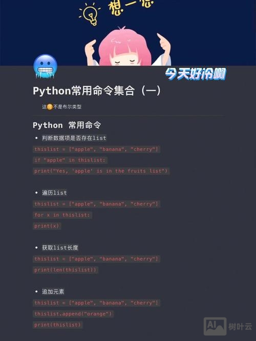 python行命令