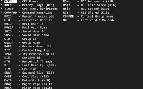 Linux命令拼接有哪些高效技巧？