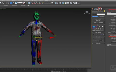max蒙皮命令如何正确绑定骨骼？