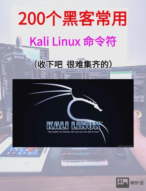 kali cd命令