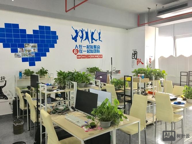 网络推广公司效果如何