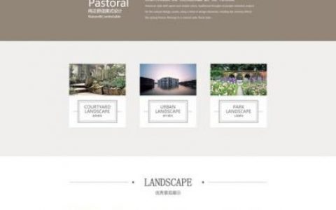 网站制作案例如何提升转化效果？