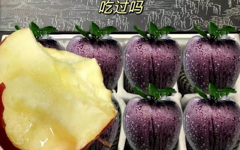 黑苹果招聘，具体岗位和要求是什么？