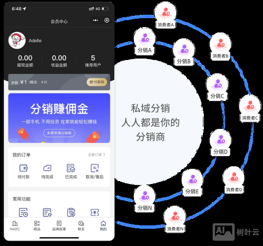 如何用虚拟主机分销