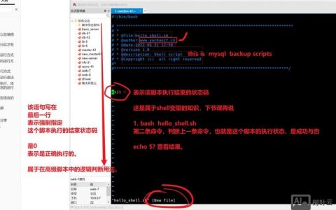 Shell打包命令有哪些常用选项？