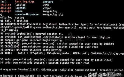 ssh t命令具体作用是什么?