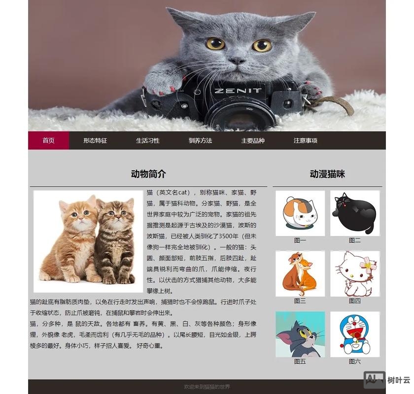 网站主题该如何介绍