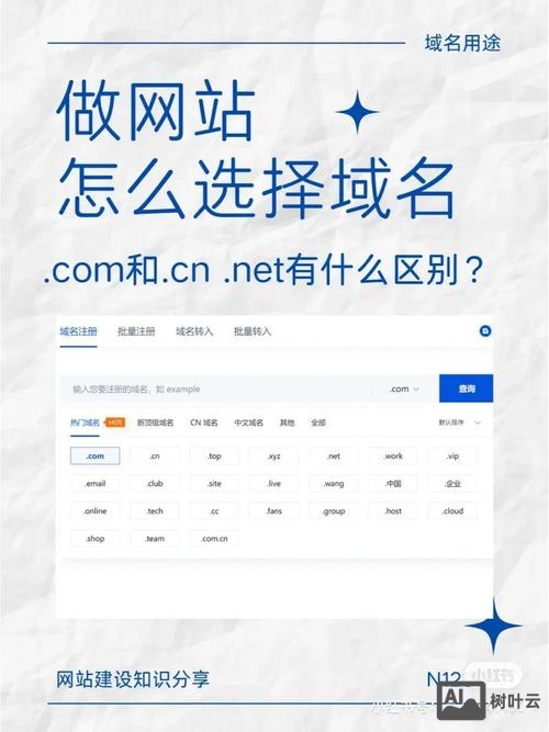 如何查找域名注册机构