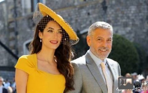 Queen C招聘，哪些岗位在招？