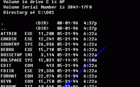 Dos run命令如何正确使用？