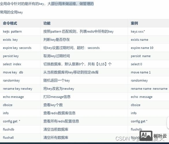redis 管理命令