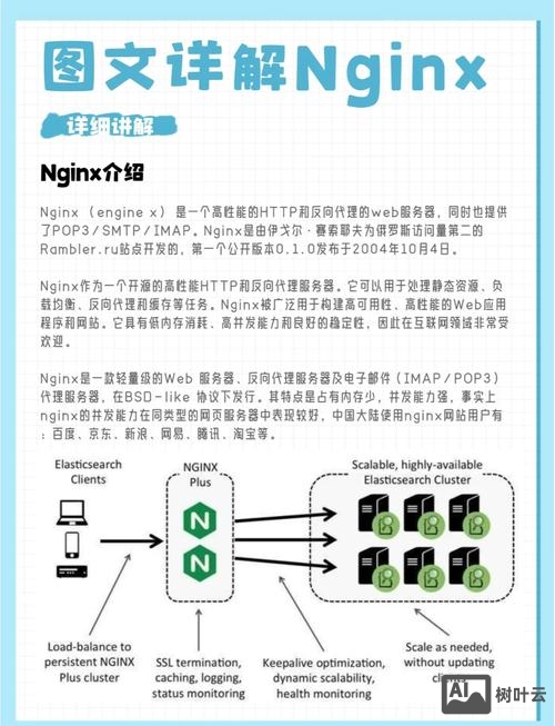 nginx 退出命令