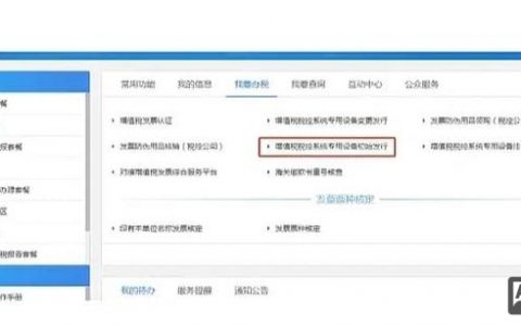 自己如何清理税控盘？