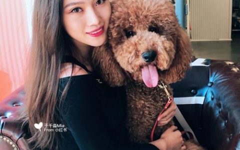 the bark招聘什么岗位？