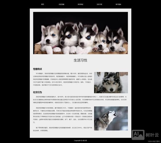 网页美工如何做网页