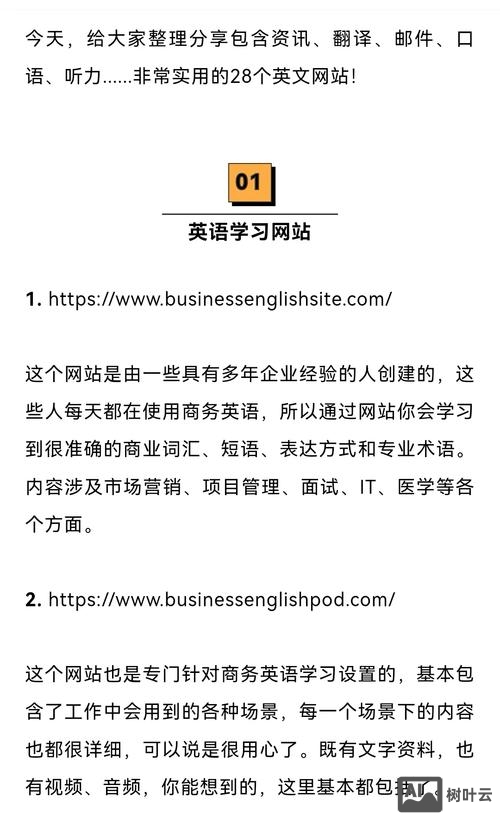 外贸独立网站如何做