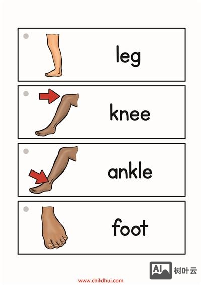 儿童如何记忆腿是leg