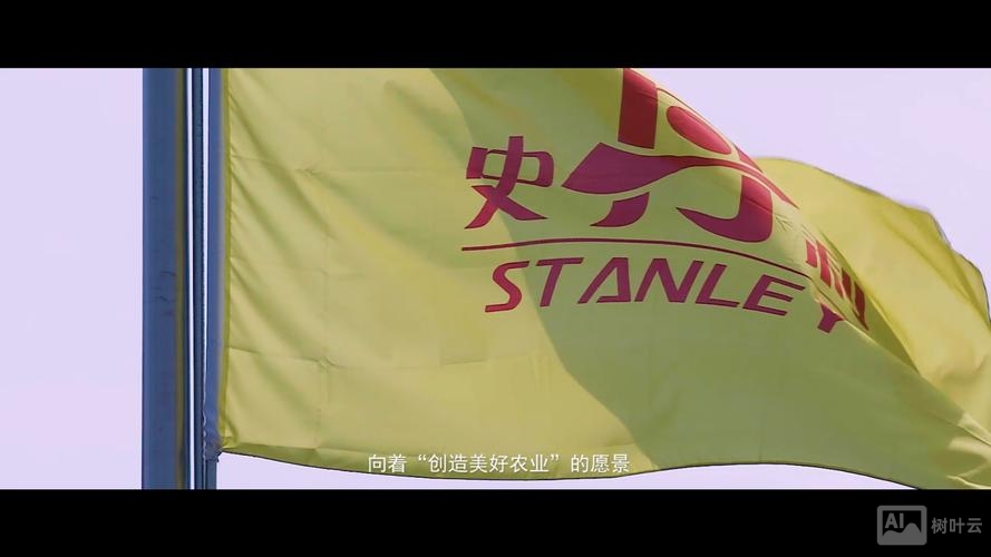 上海史丹利招聘