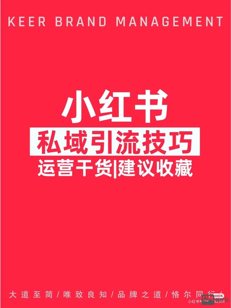 如何利用网红进行引流