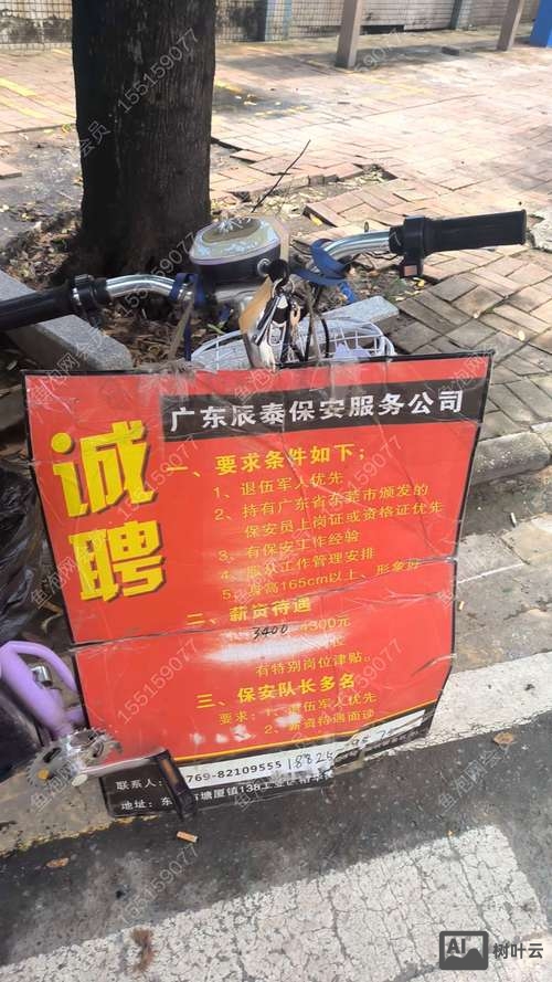 深圳 wordpress招聘