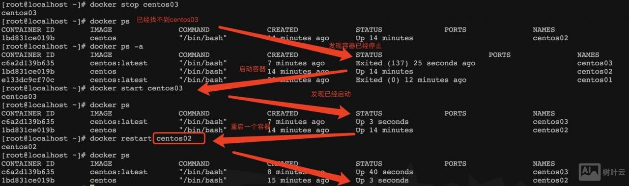 docker network命令