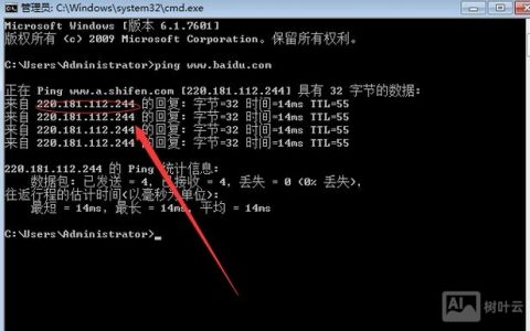 如何查域名绑定的IP？