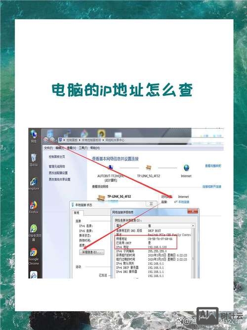 如何查询域名绑定的ip