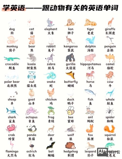 动物这个单词如何写