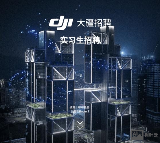 DJI招聘岗位