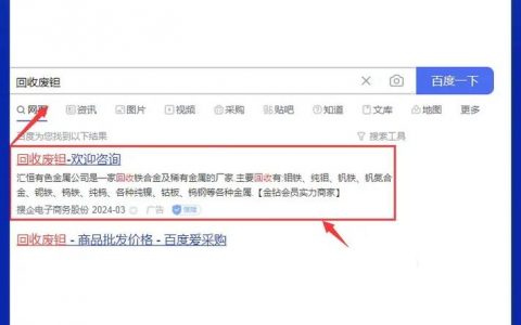 如何有效删除百度快照？