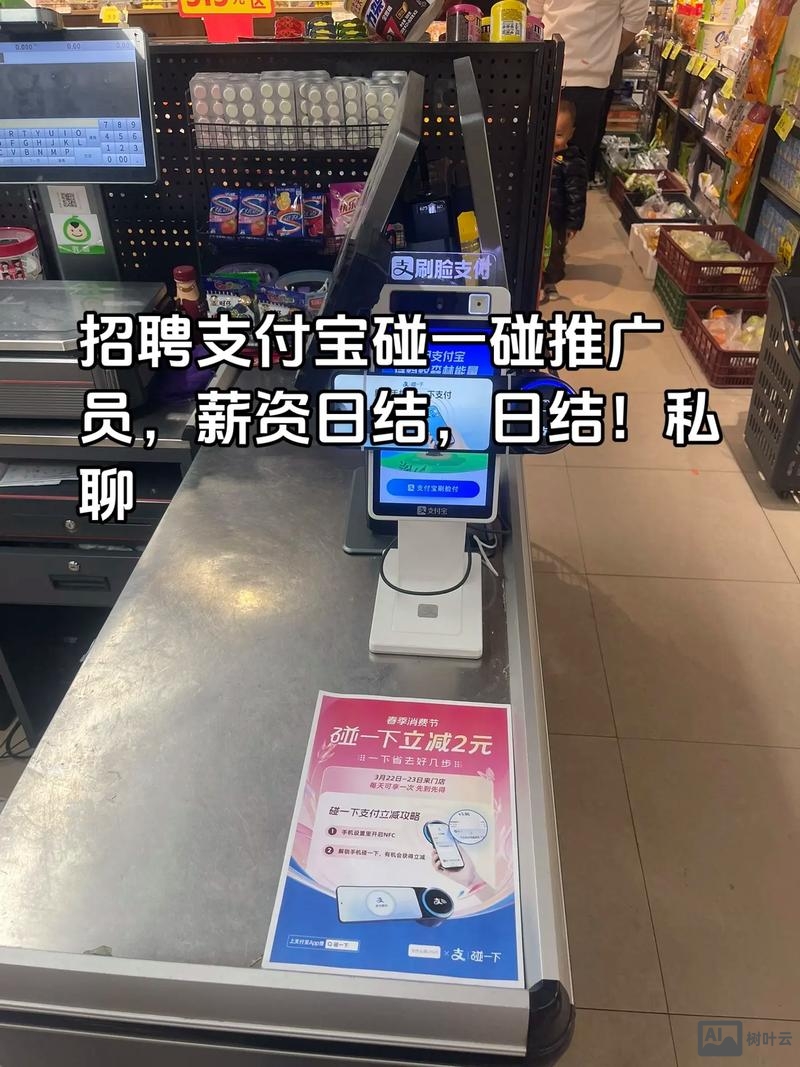 招聘 支付 测试