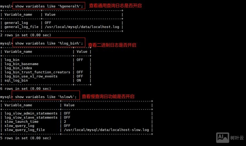 mysql命令行备份数据库