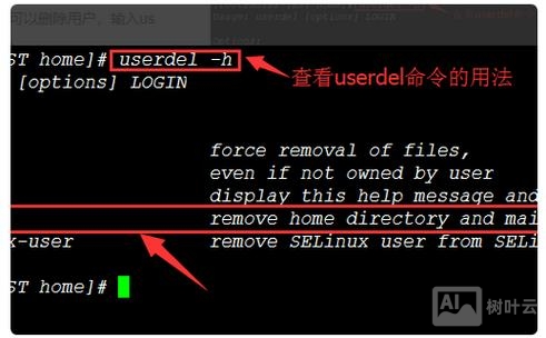 删除一个文件夹的命令