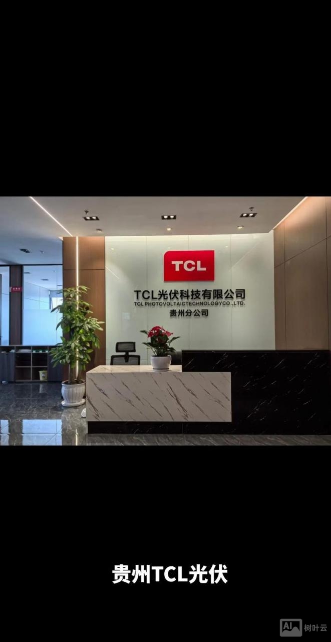 tcl ott 招聘