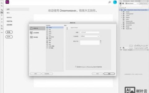 如何将网页导入DW？