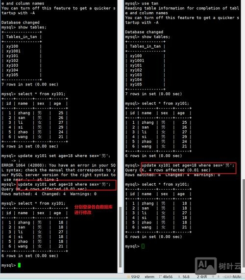 mysql 修复数据库命令