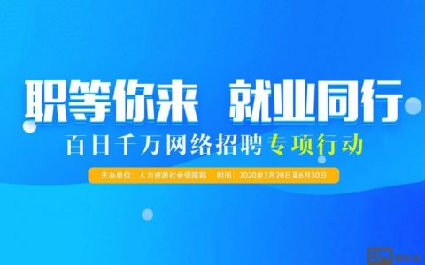 致力电脑招聘什么岗位？