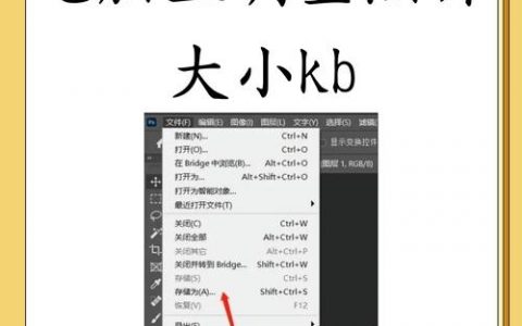 如何查看网站图片尺寸？