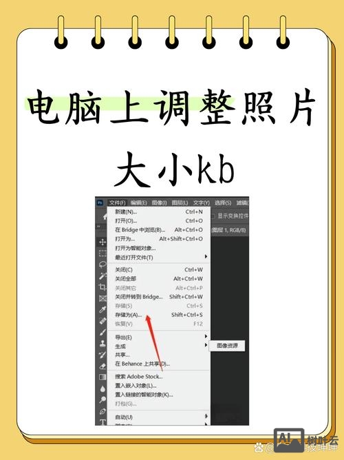 如何查看网站图片尺寸