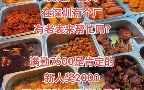 包不同招聘，有何特别之处？