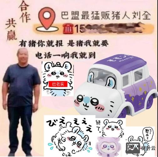小猪crm招聘
