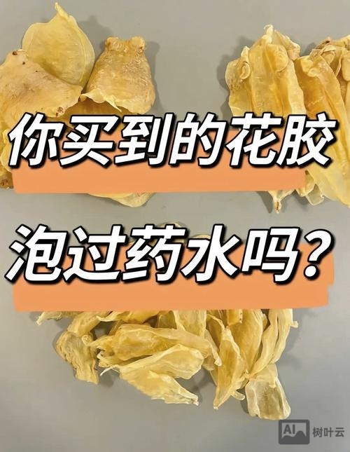 如何识别花胶的真伪