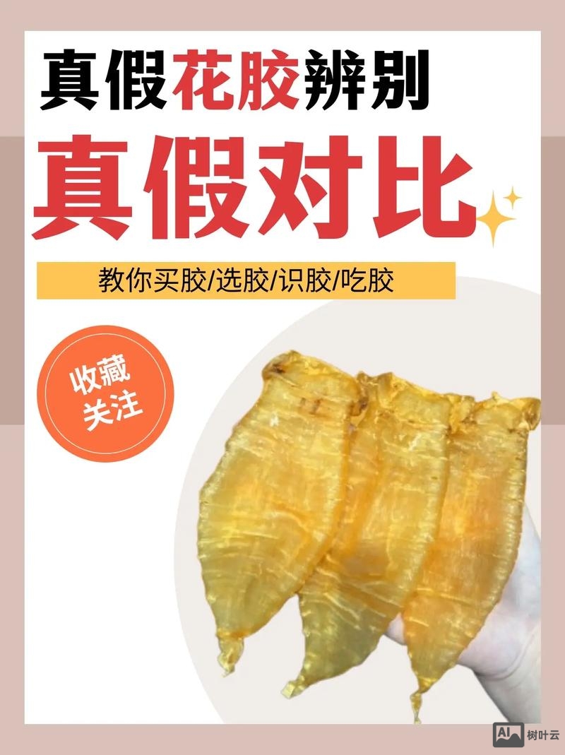 如何识别花胶的真伪