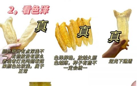 花胶怎么辨真假？