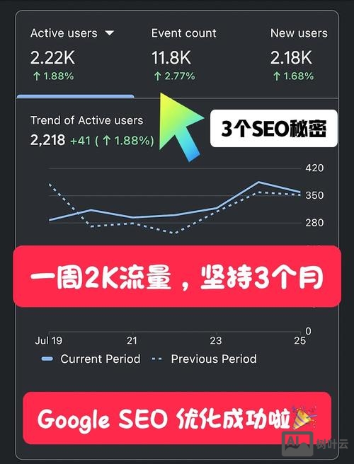 新网站如何快速有流量